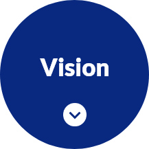 Vision